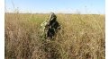 Маскировочный халат Taganrog Кикимора – купить по цене 3550 руб. в интернет-магазине в городе Новокузнецк картинка 13